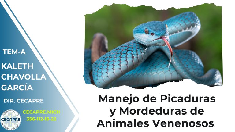 MANEJO DE PICADURAS Y MORDEDURAS DE ANIMALES VENENOSOS